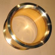 Plain Bearings